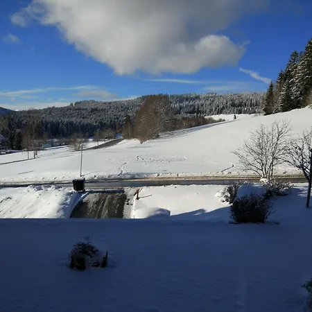 Tolles Mit Pool In Apartment Schluchsee
