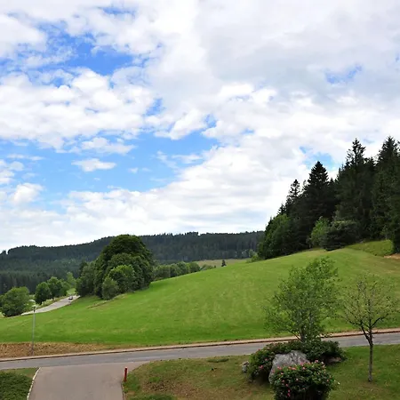 Tolles Mit Pool In Apartment Schluchsee